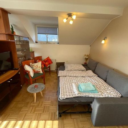 Apartment Kranj - Huge Terrace, Free P, Wi - Fi, Ac エクステリア 写真