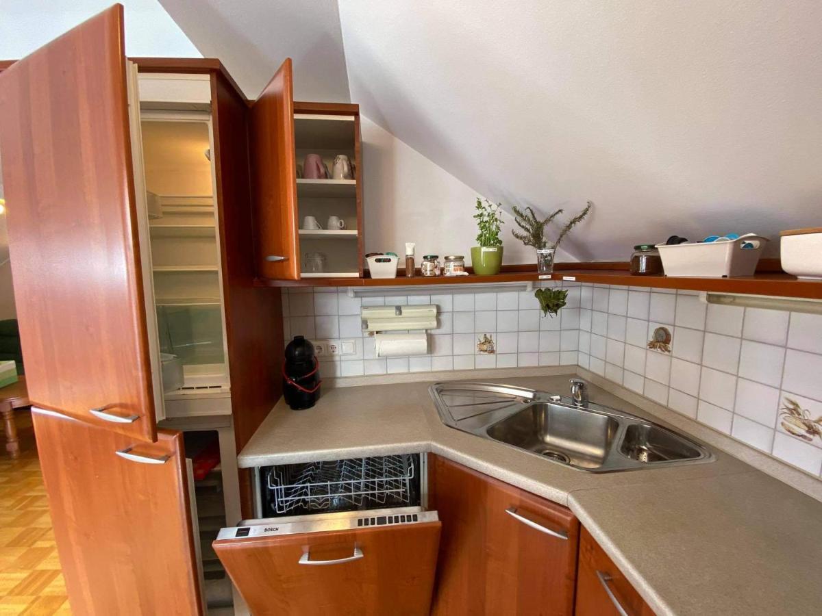 Apartment Kranj - Huge Terrace, Free P, Wi - Fi, Ac エクステリア 写真