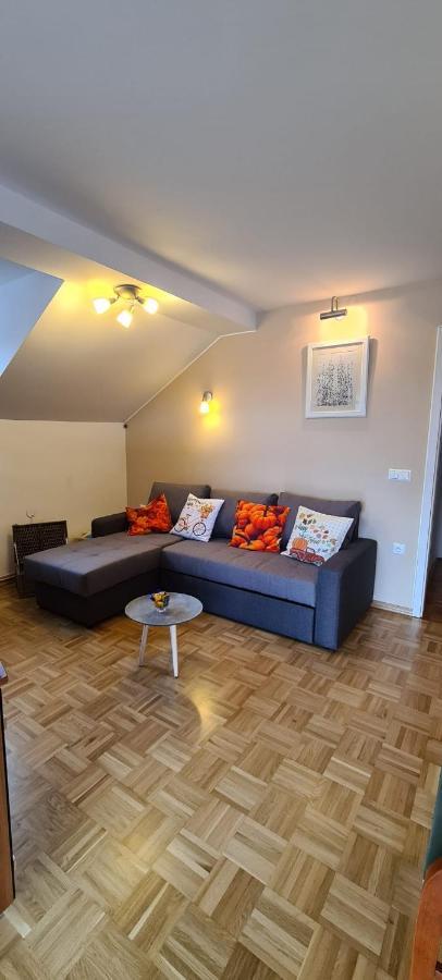 Apartment Kranj - Huge Terrace, Free P, Wi - Fi, Ac エクステリア 写真