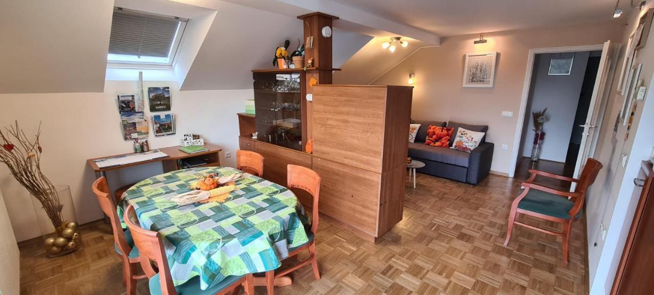 Apartment Kranj - Huge Terrace, Free P, Wi - Fi, Ac エクステリア 写真