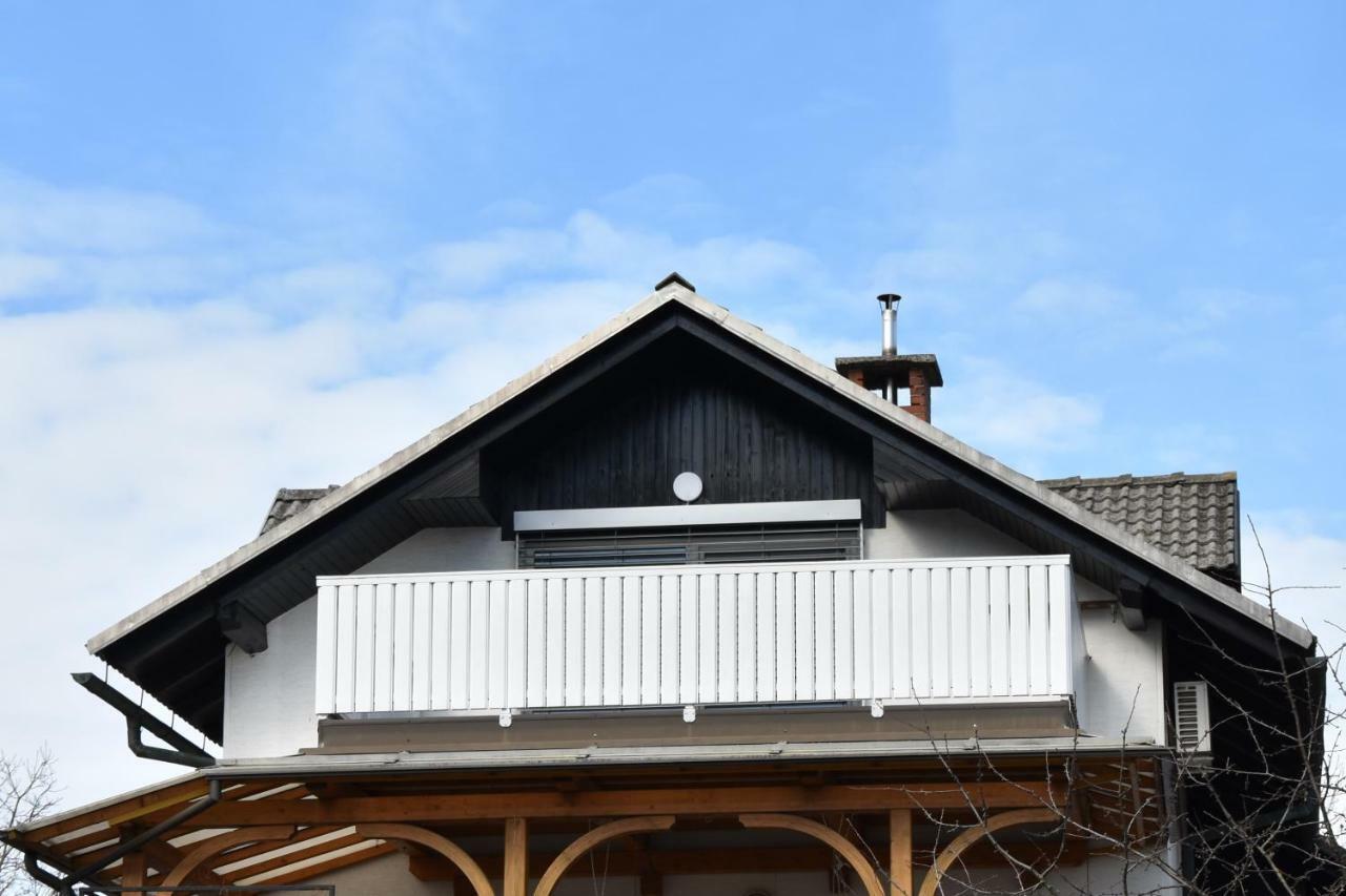 Apartment Kranj - Huge Terrace, Free P, Wi - Fi, Ac エクステリア 写真